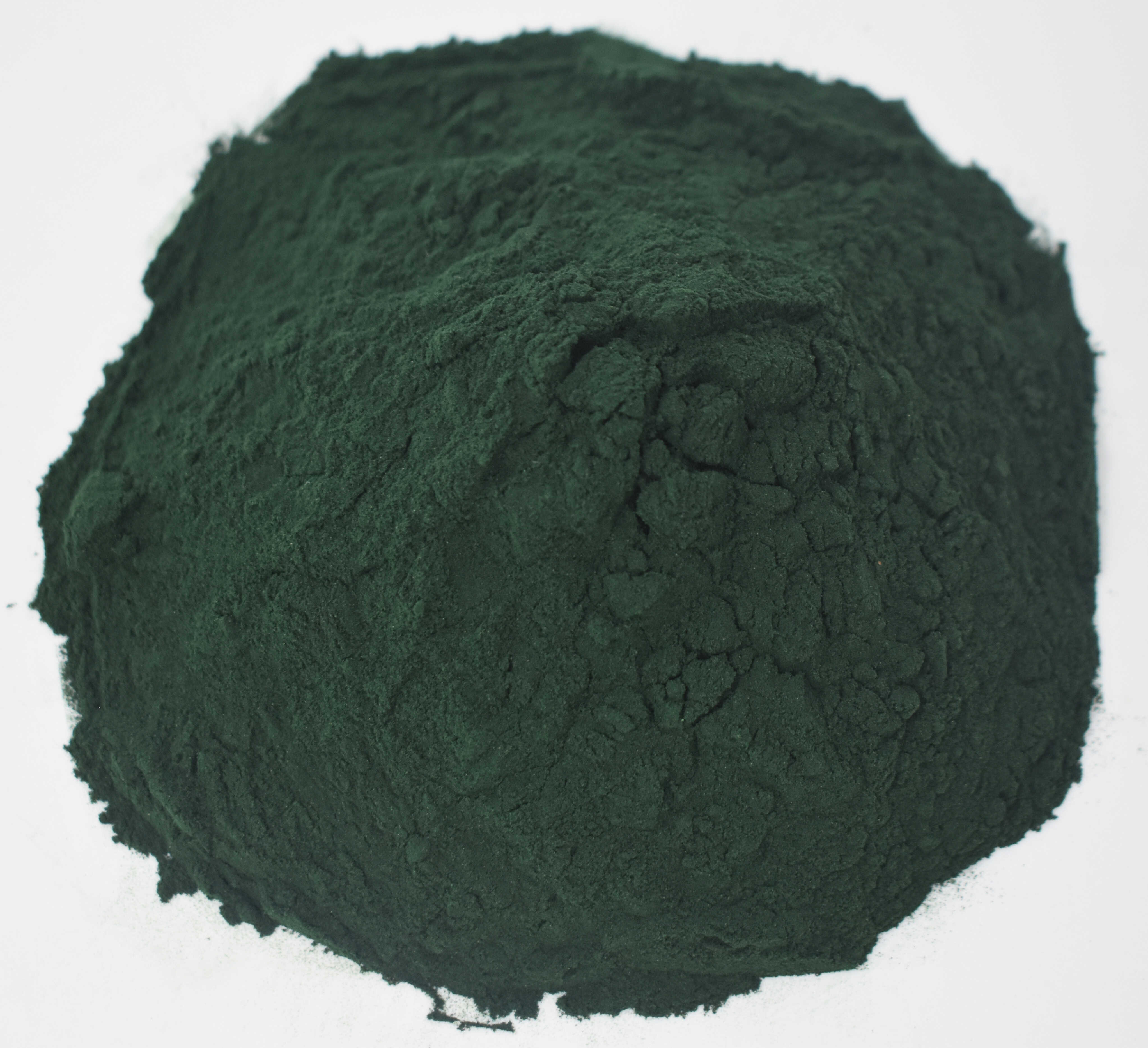 Spirulina <BR>(Blue-Green Algae) - Top Photo