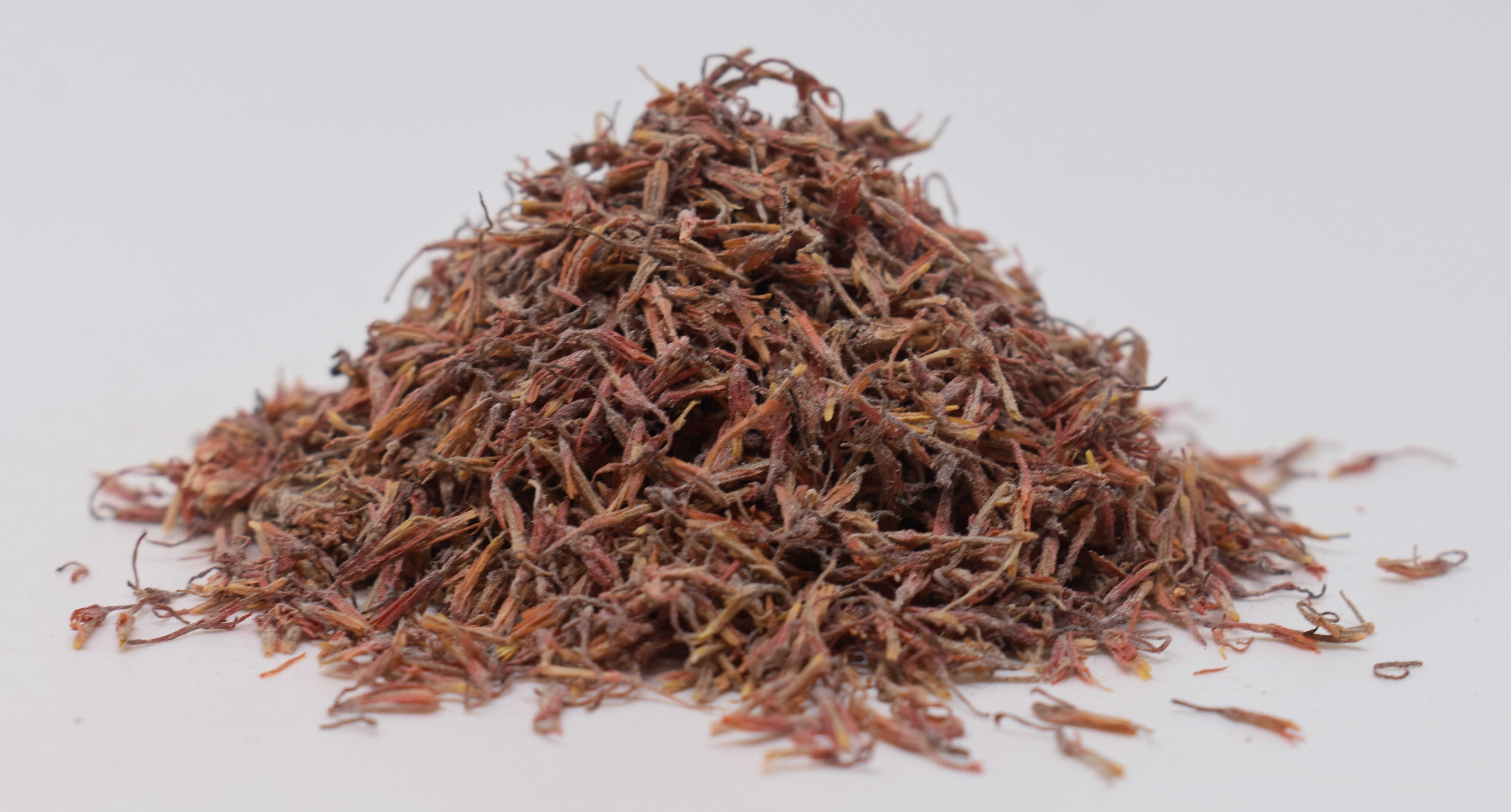 American Saffron and Slippery Elm - Side Photo