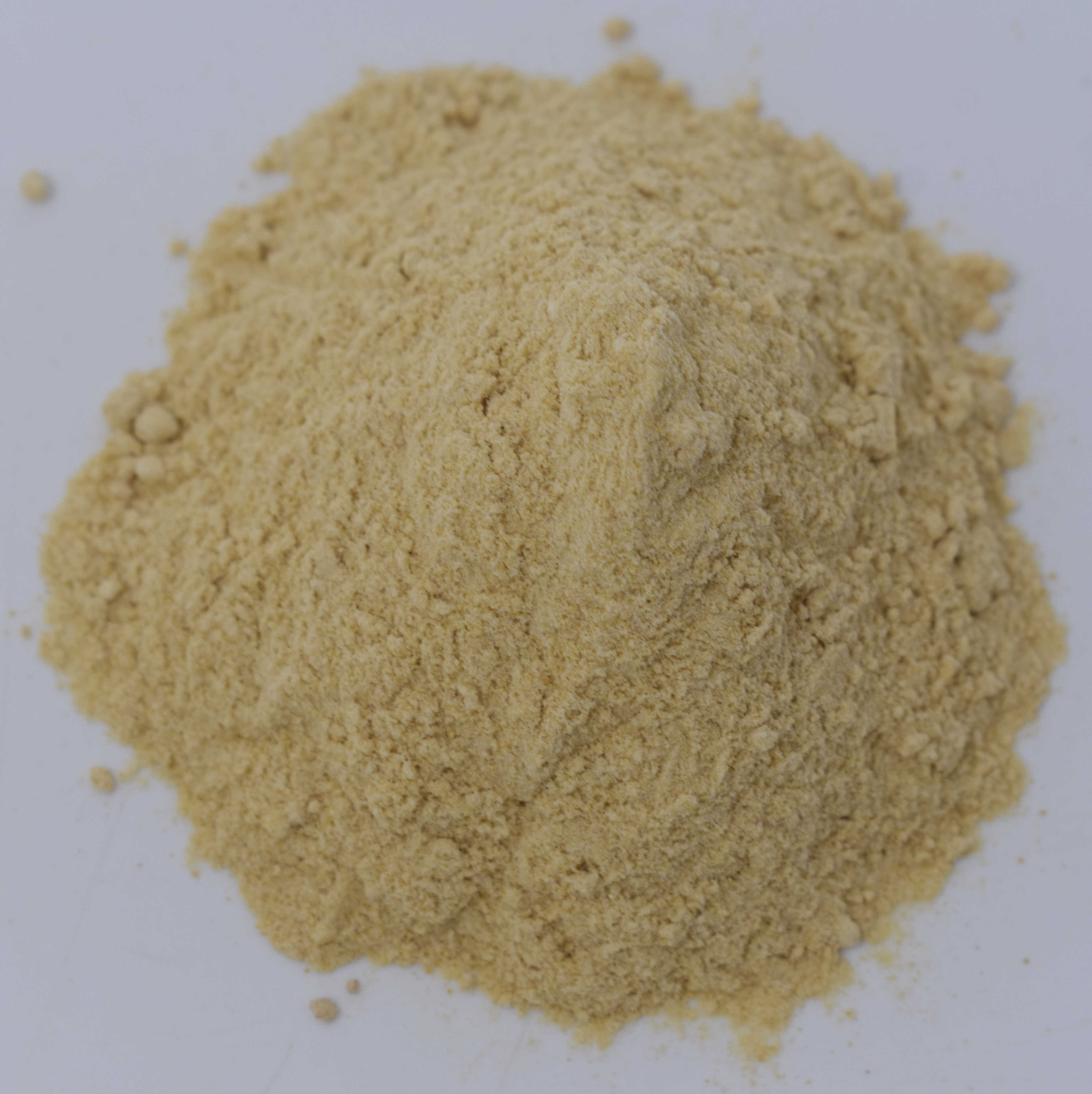 Ginger Root 5% Gingerol Extract - Top Photo