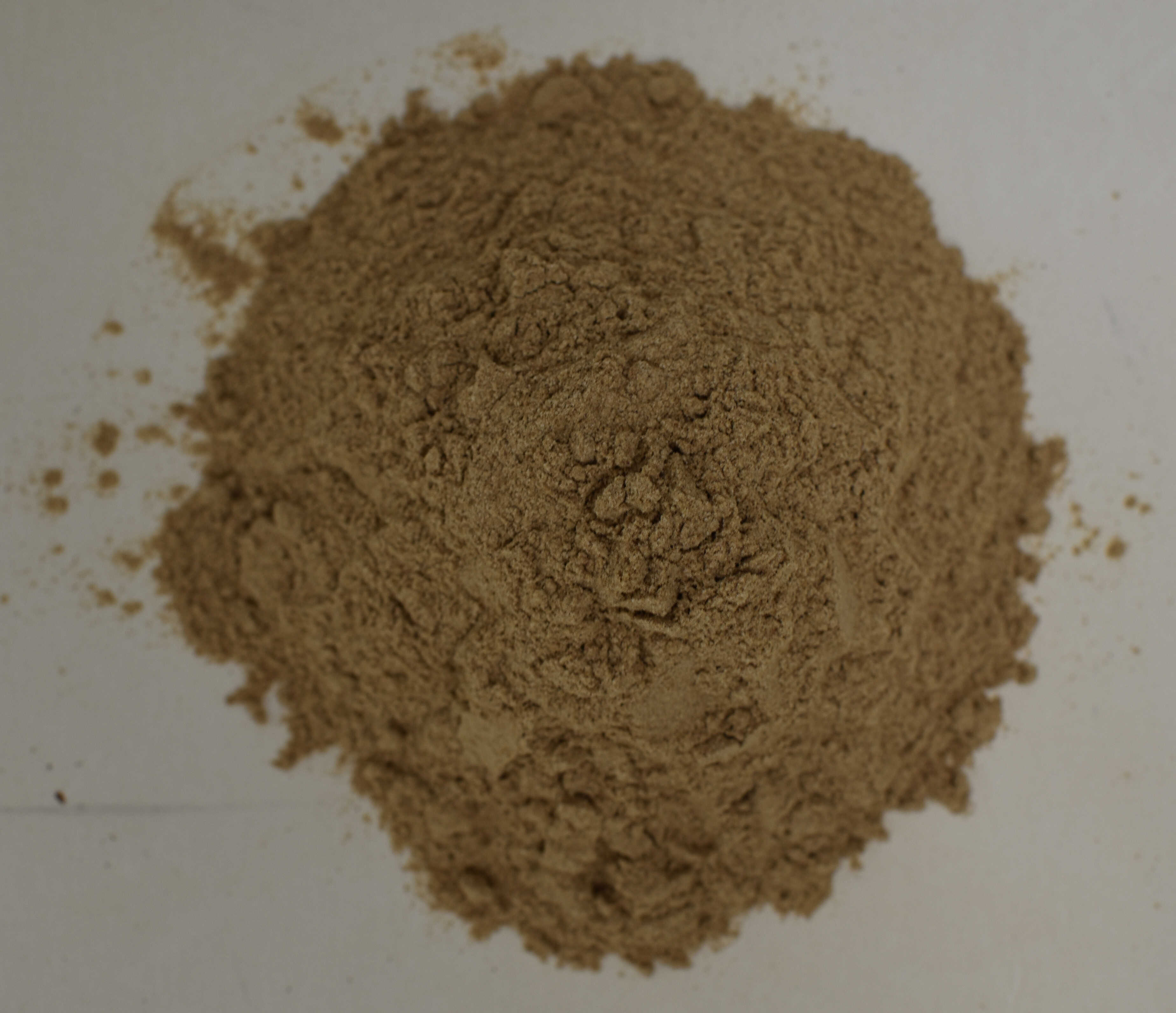 American Ginseng 10:1 Extract - Top Photo
