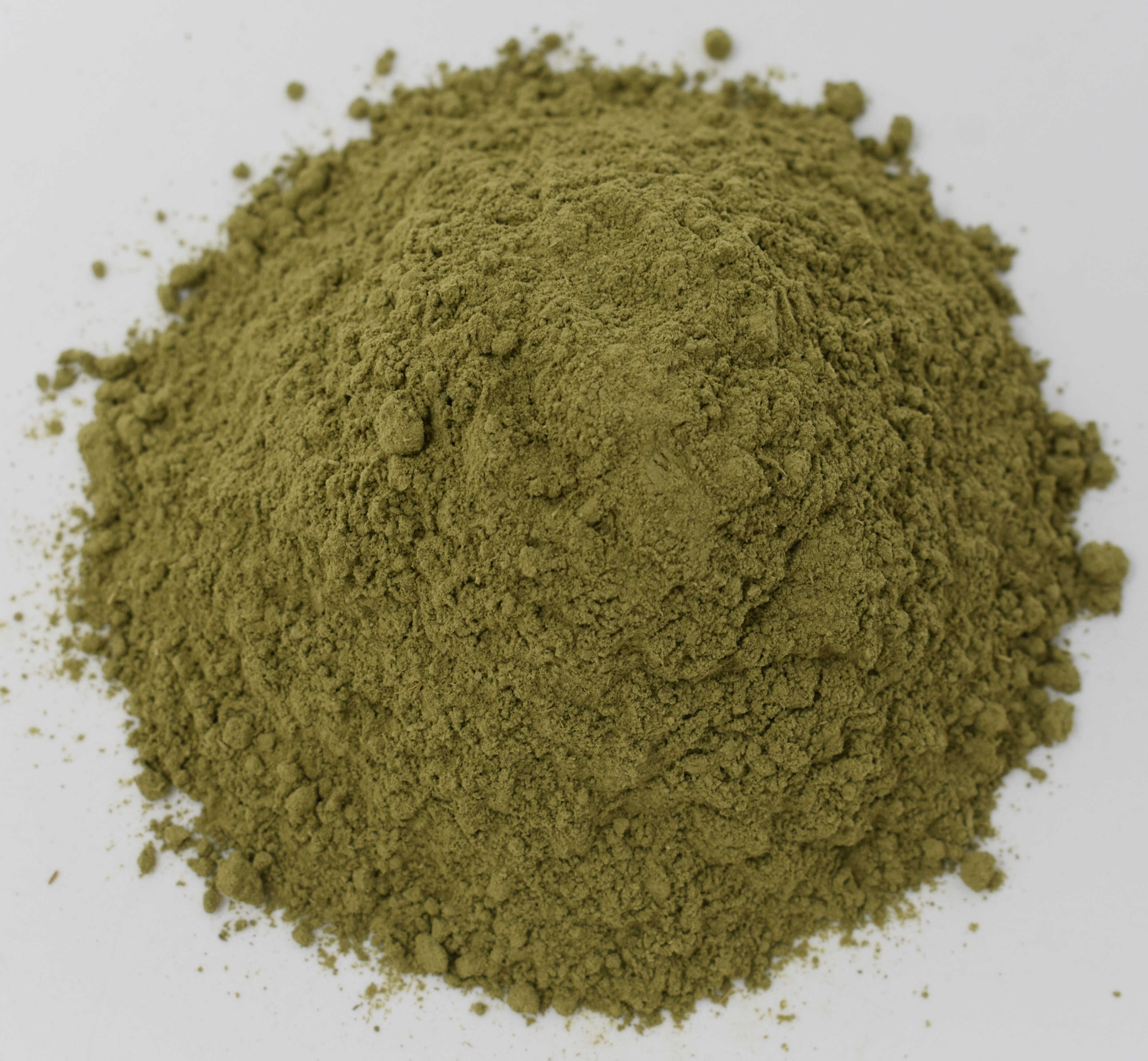 Moringa - Top Photo