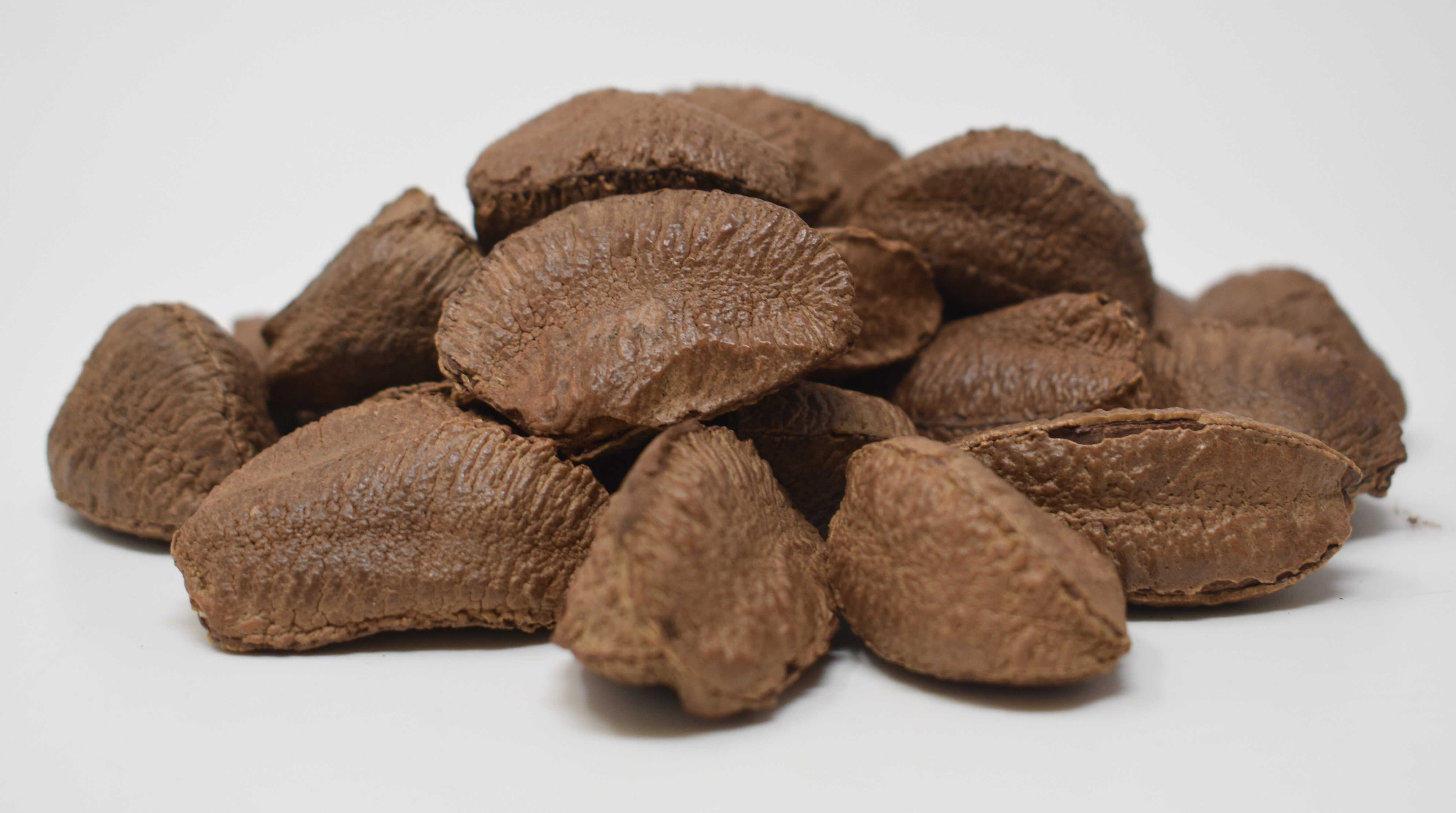 Brazil Nuts <BR>(In Shell) - Side Photo