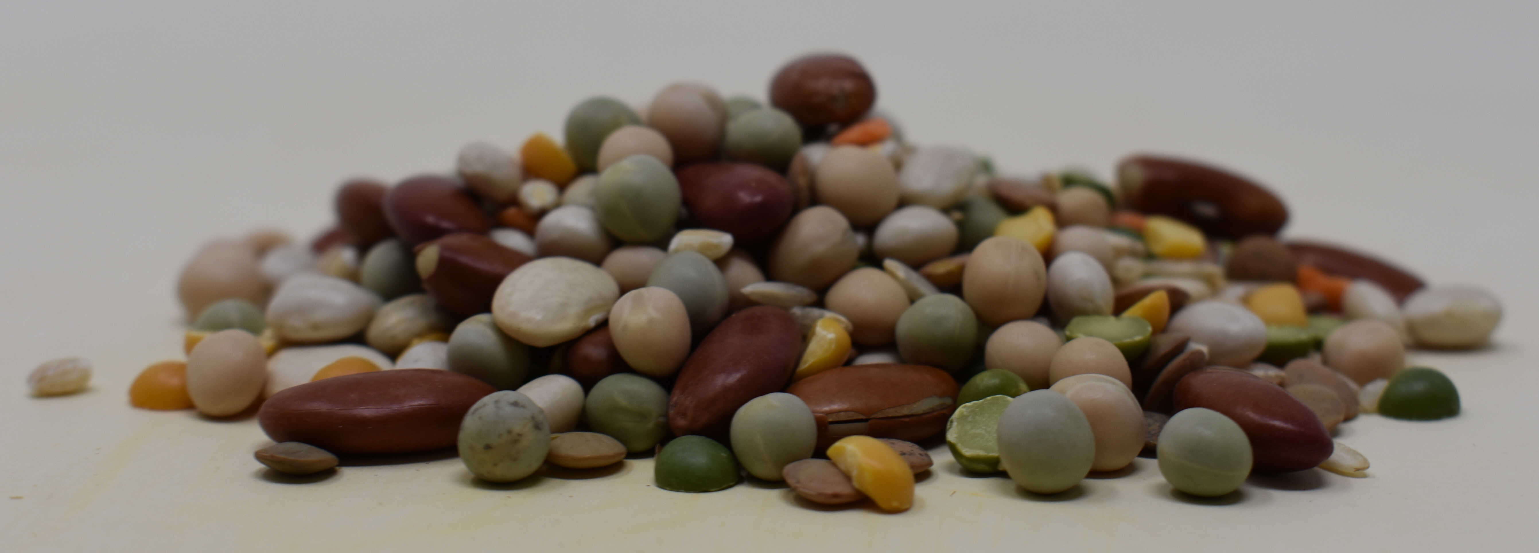 Bean Soup Mix <BR>(11 Beans and Grains) - Side Photo