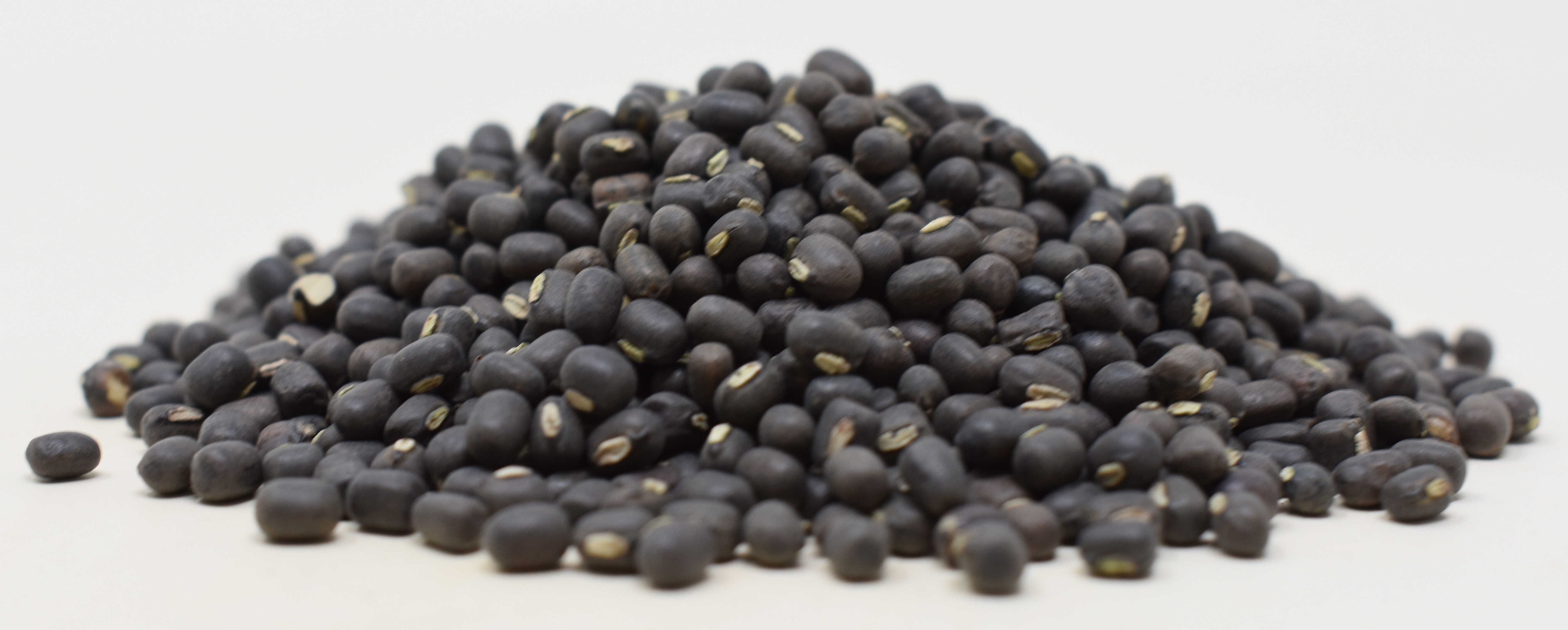 Black Lentils (Organic) - Side Photo