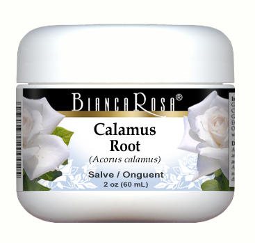 Calamus Root - Salve Ointment