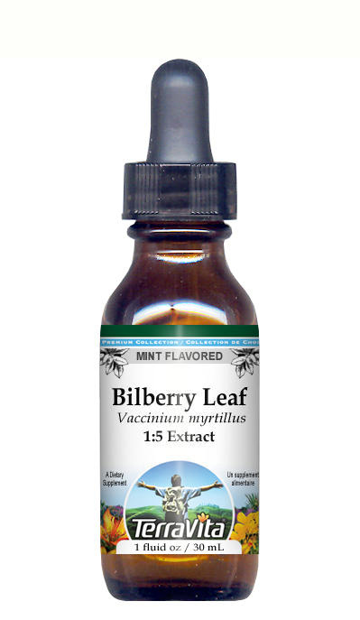 Bilberry Leaf - Glycerite Liquid Extract (1:5)