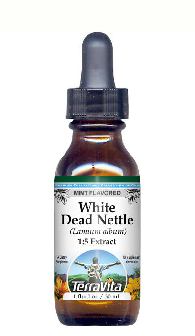 White Dead Nettle - Glycerite Liquid Extract (1:5)