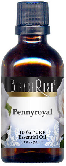 Pennyroyal Pure Essential Oil