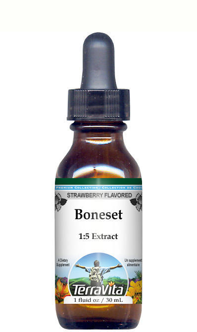 Boneset Glycerite Liquid Extract (1:5)