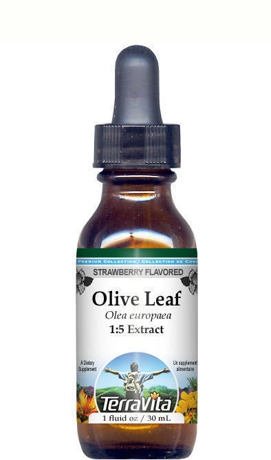 Olive Leaf Glycerite Liquid Extract (1:5)