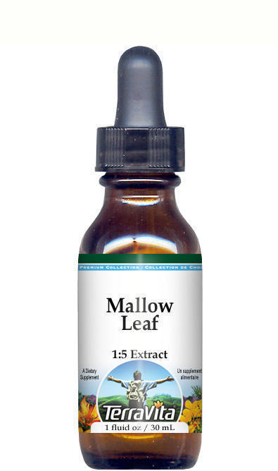Mallow (Malva sylvestris) Flower Glycerite Liquid Extract (1:5)