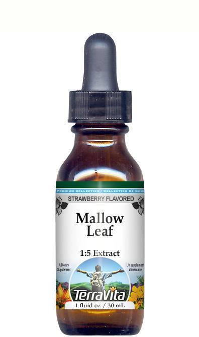 Mallow (Malva sylvestris) Flower Glycerite Liquid Extract (1:5)