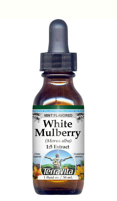 White Mulberry (Morus alba) Glycerite Liquid Extract (1:5)