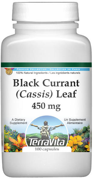 Black Currant (Cassis) Leaf - 450 mg