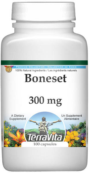 Boneset - 300 mg