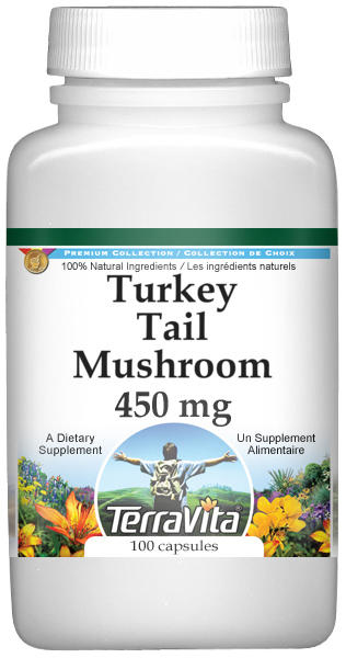 Turkey Tail Mushroom - 450 mg