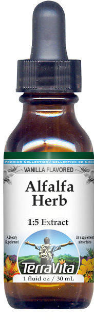 Alfalfa Herb Glycerite Liquid Extract (1:5)