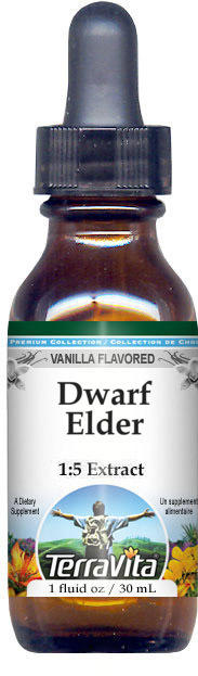 Dwarf Elder Glycerite Liquid Extract (1:5)