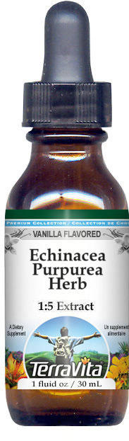 Echinacea Purpurea Herb Glycerite Liquid Extract (1:5)