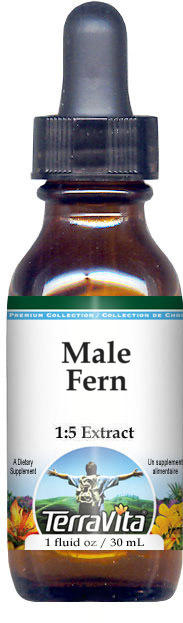 Male Fern Glycerite Liquid Extract (1:5)