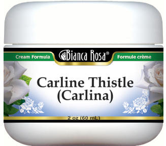 Carline Thistle (Carlina) Cream