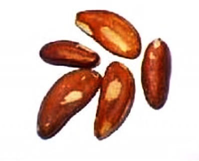 Brazil Nuts, Raw