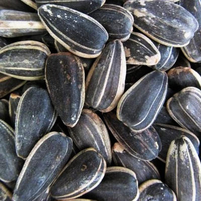 Sunflower Seeds, In Shell, Raw