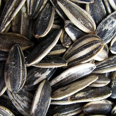 Sunflower Seeds, In Shell, Roasted and Salted